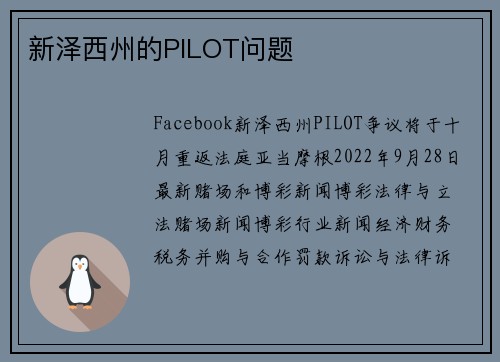 新泽西州的PILOT问题